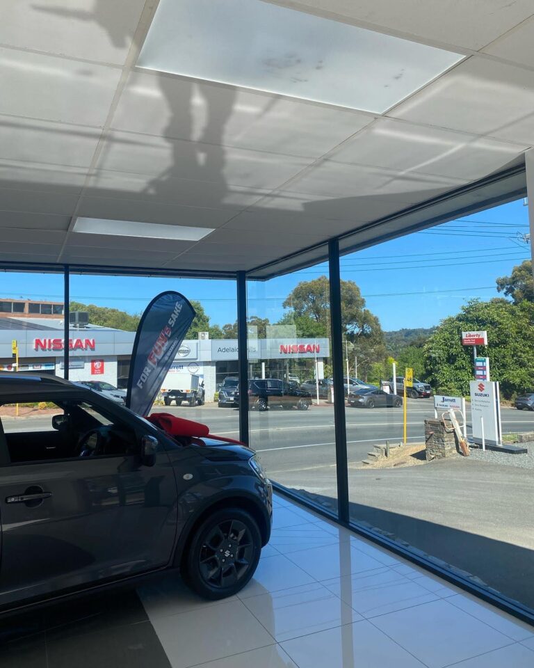 Commercial window cleaning (6)