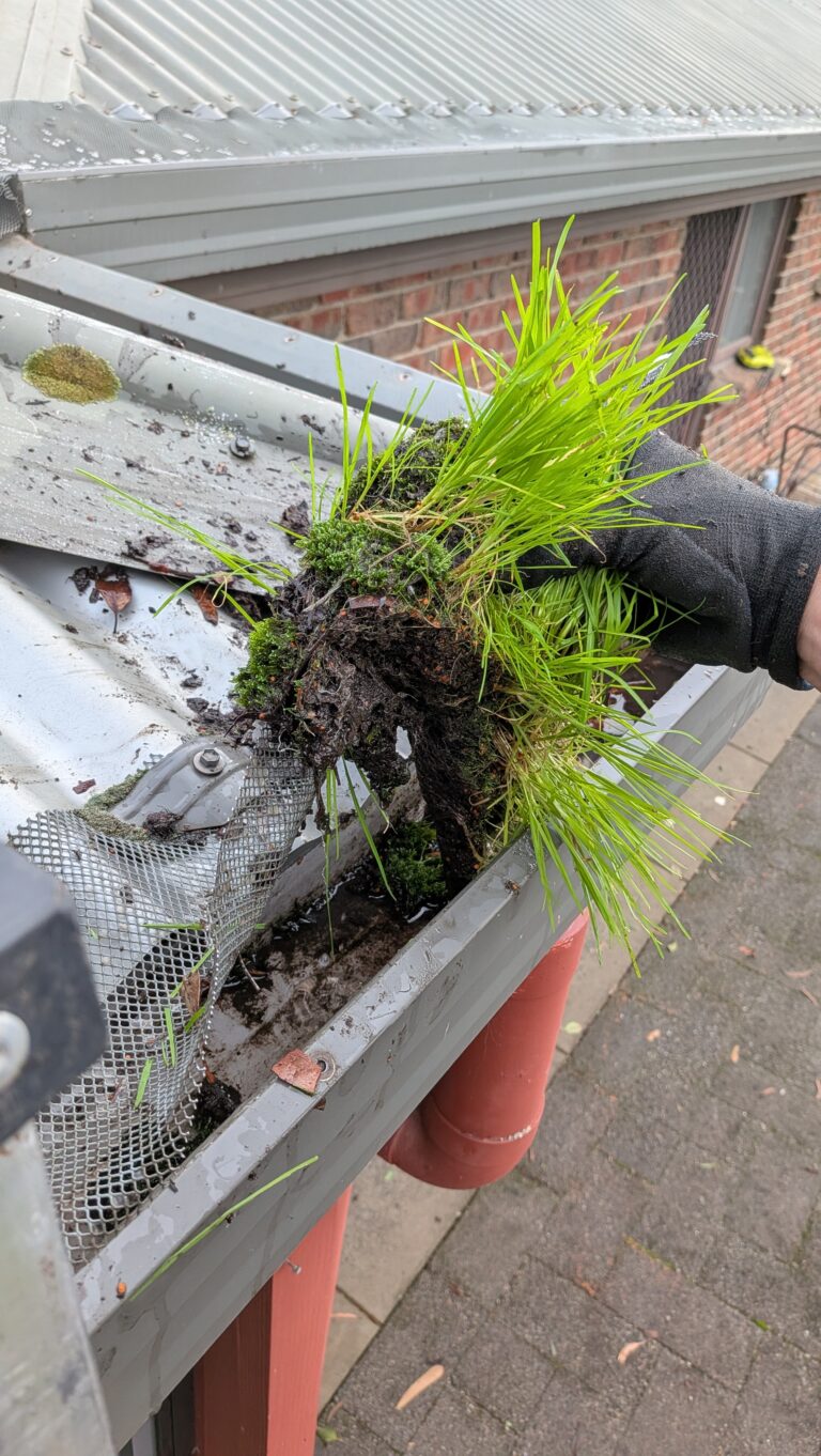 adelaide hills window cleaning - gutter cleaning service (2)